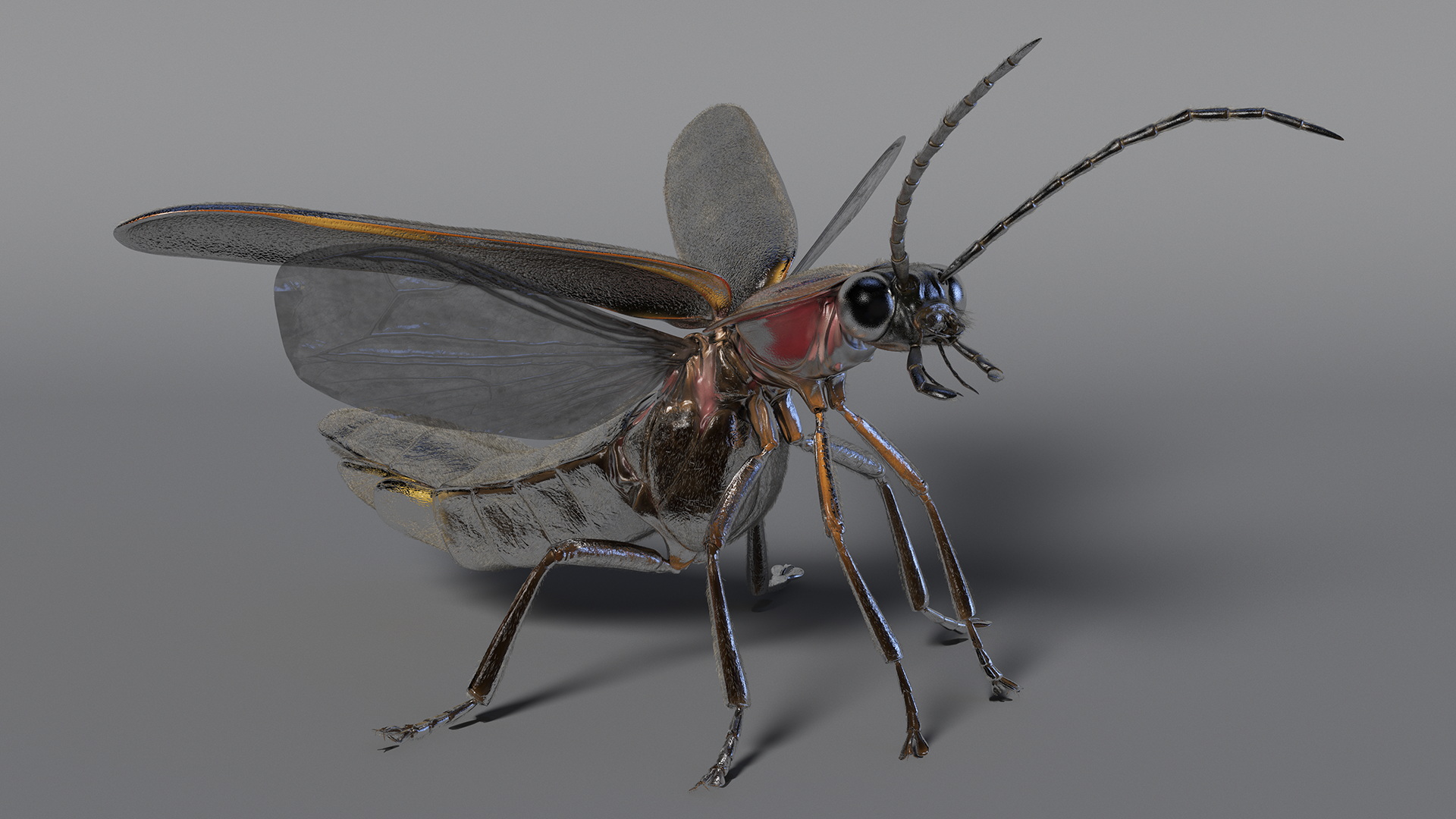 3D Big Dipper Firefly Standing Pose Fur