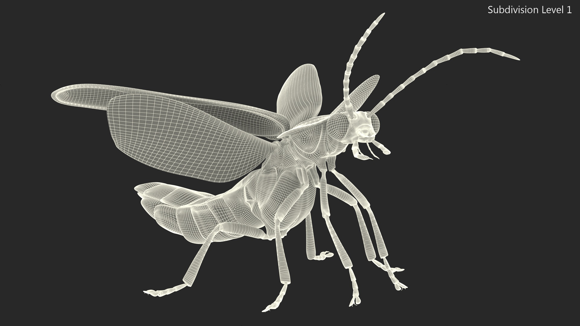 3D Big Dipper Firefly Standing Pose Fur