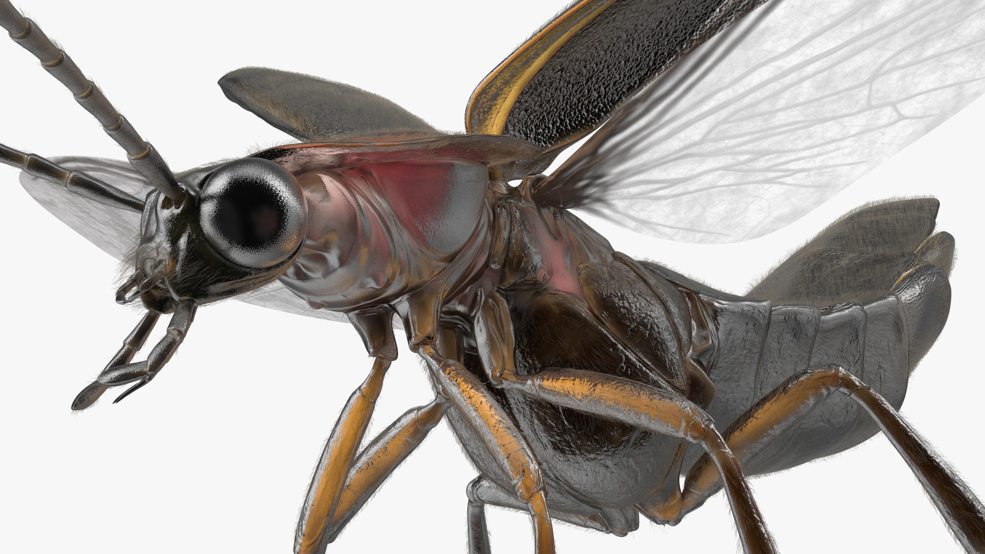 3D Big Dipper Firefly Standing Pose Fur