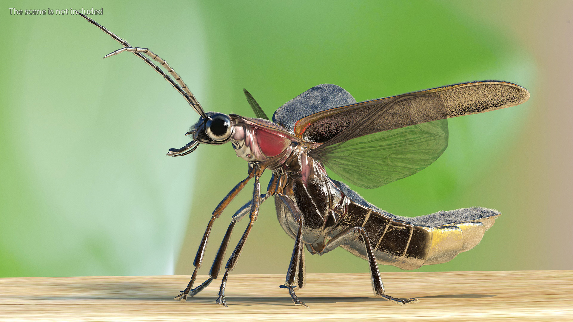 3D Big Dipper Firefly Standing Pose Fur