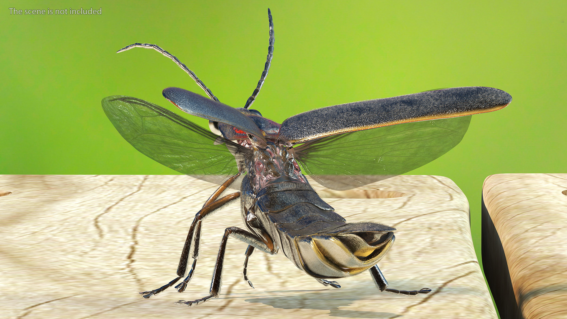 3D Big Dipper Firefly Standing Pose Fur