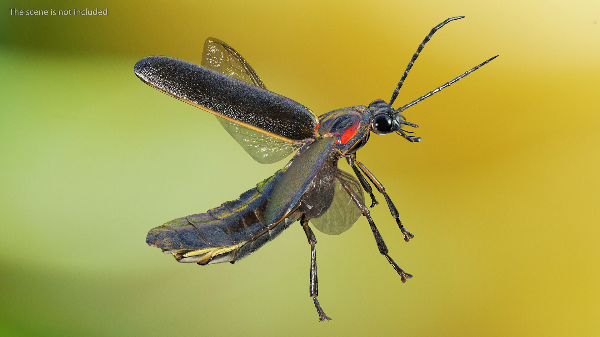 3D Big Dipper Firefly Standing Pose Fur