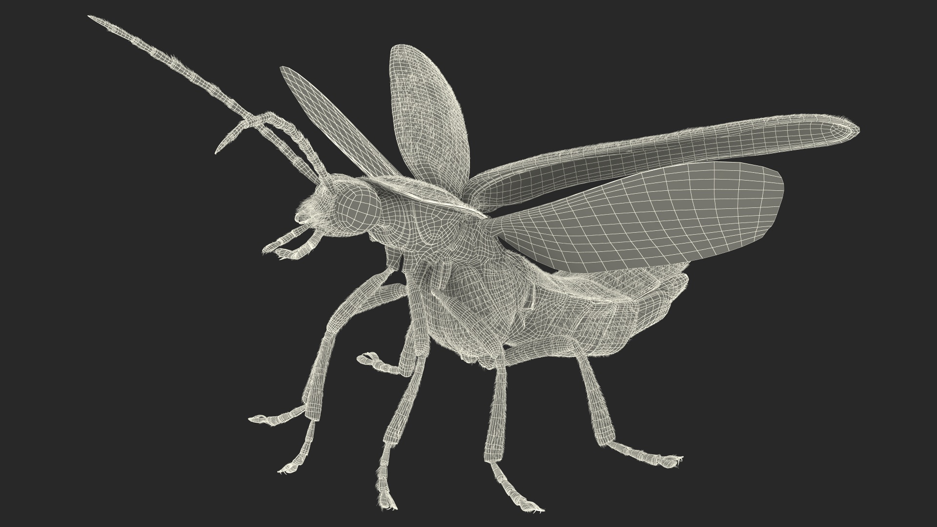 3D Big Dipper Firefly Standing Pose Fur