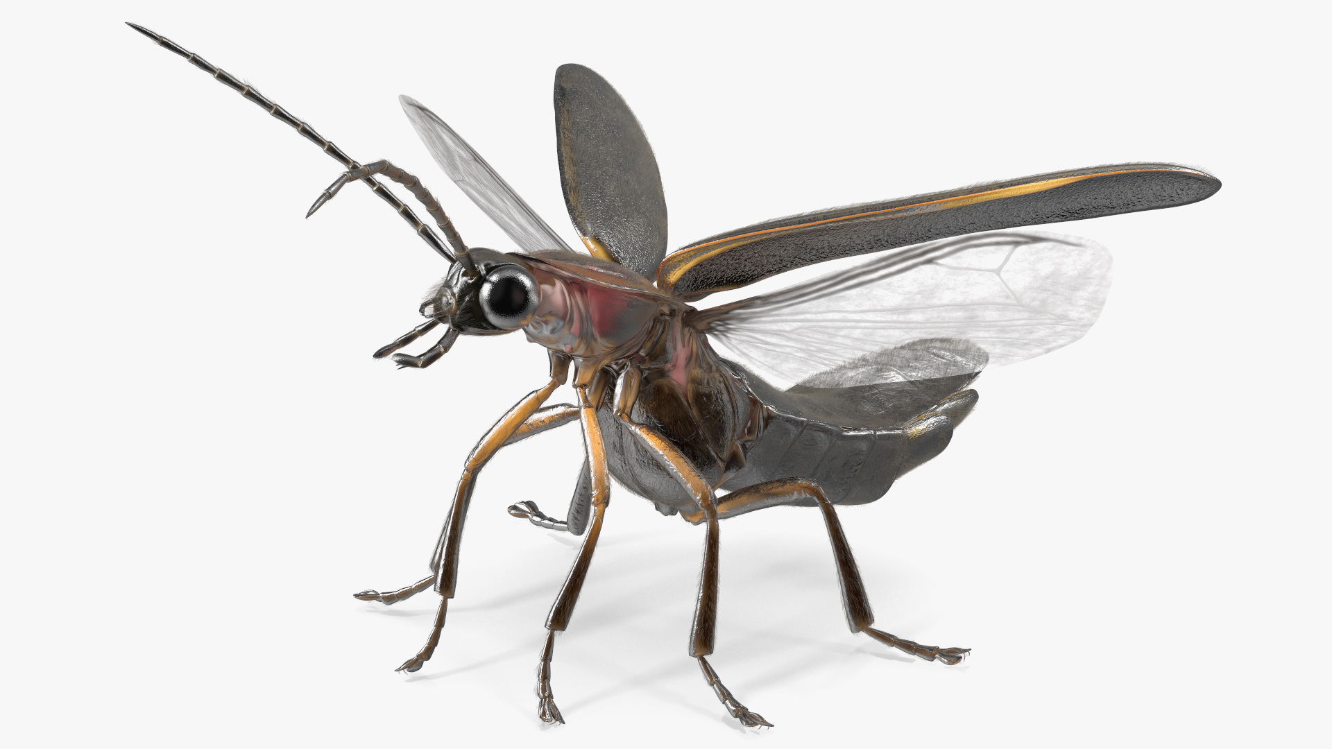 3D Big Dipper Firefly Standing Pose Fur