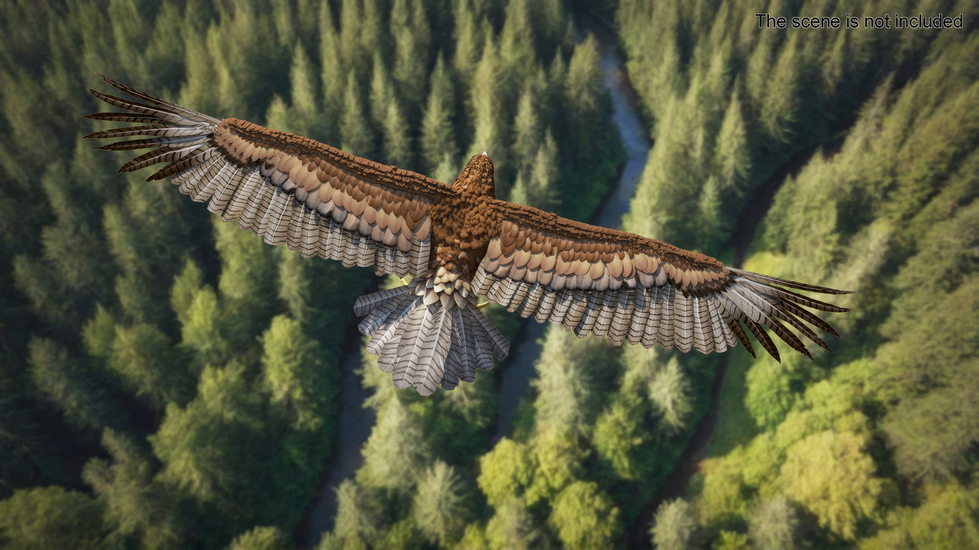 Gurney Eagle T Pose 3D model