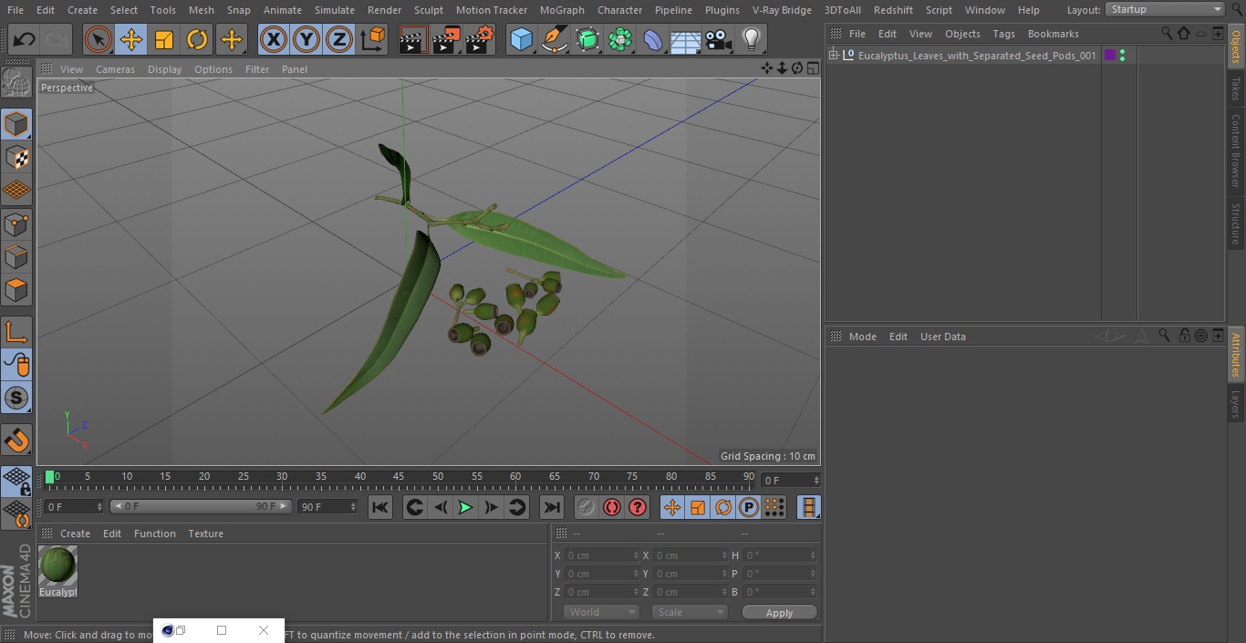 Eucalyptus Leaves with Separated Seed Pods 3D