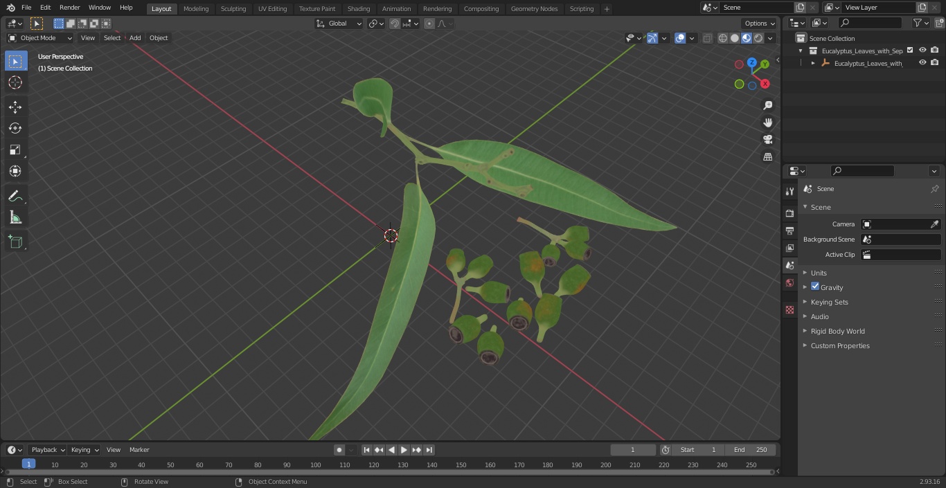 Eucalyptus Leaves with Separated Seed Pods 3D