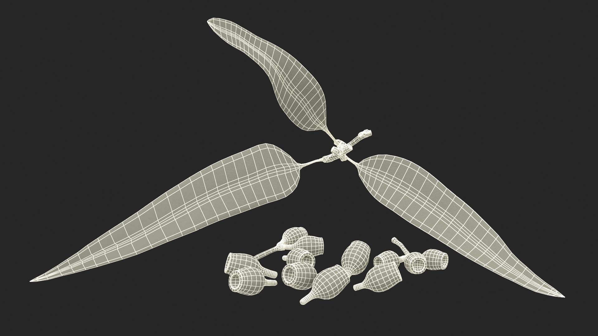Eucalyptus Leaves with Separated Seed Pods 3D