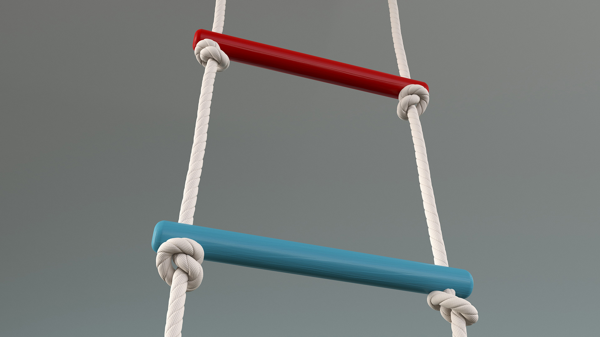 3D Colored Wooden Rope Ladder