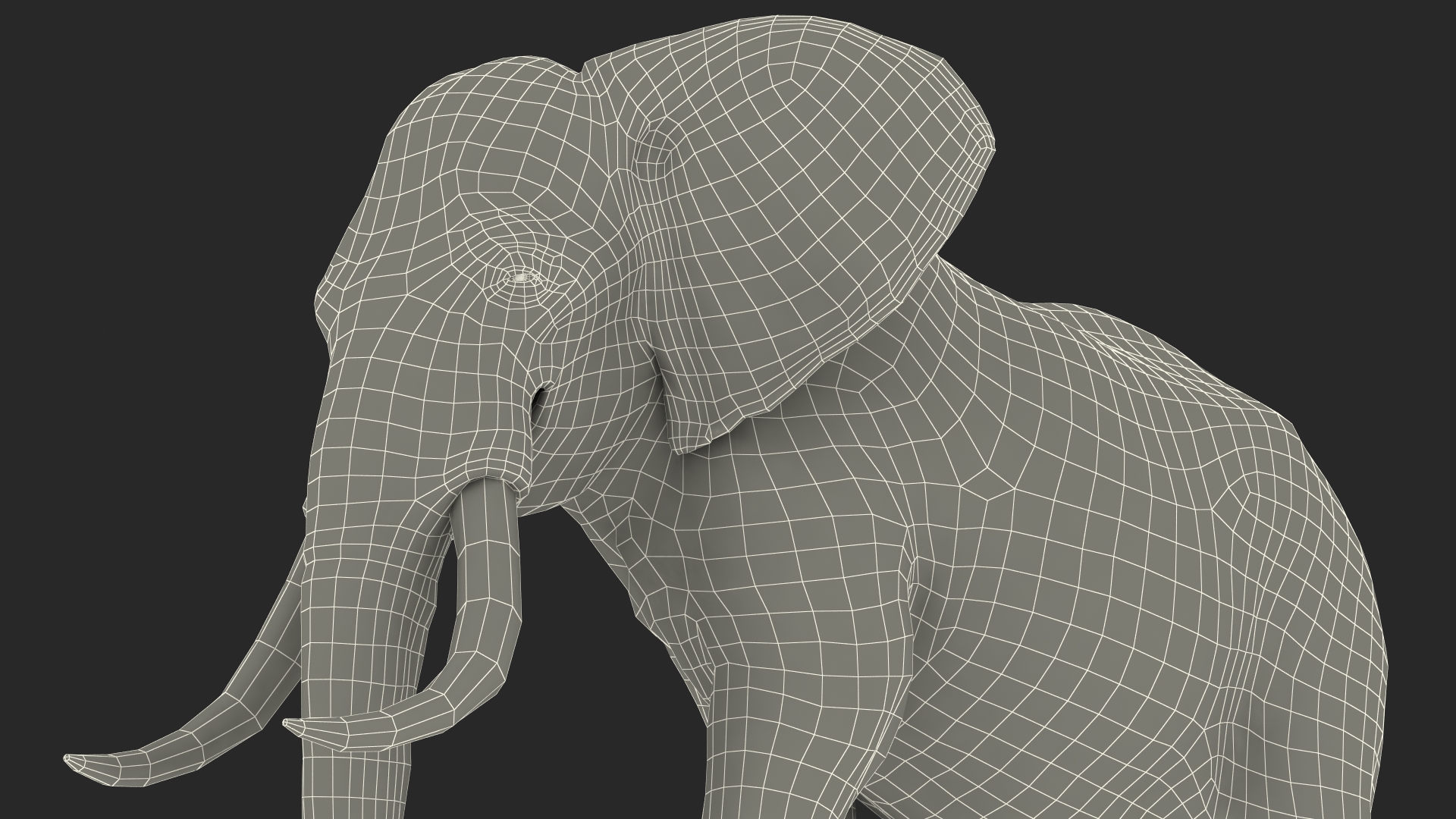 3D Animated Elephant Walking Fur Rigged