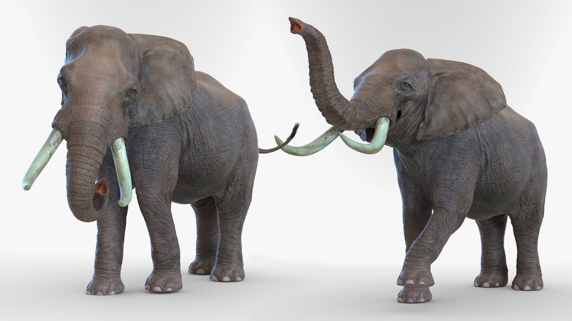3D Animated Elephant Walking Fur Rigged