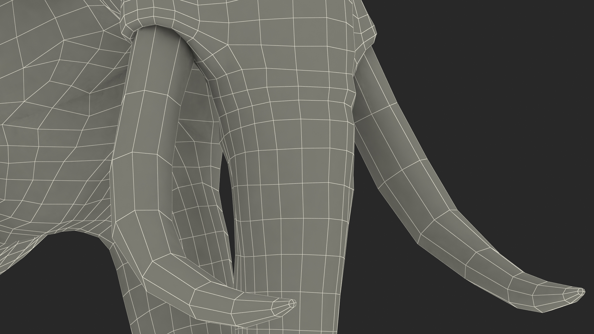 3D Animated Elephant Walking Fur Rigged