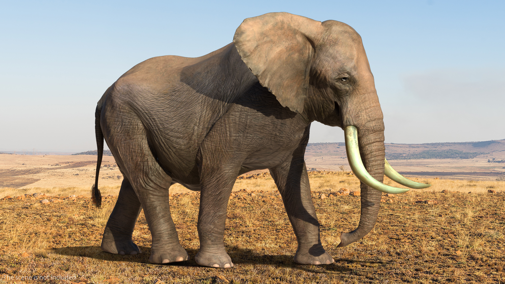 3D Animated Elephant Walking Fur Rigged