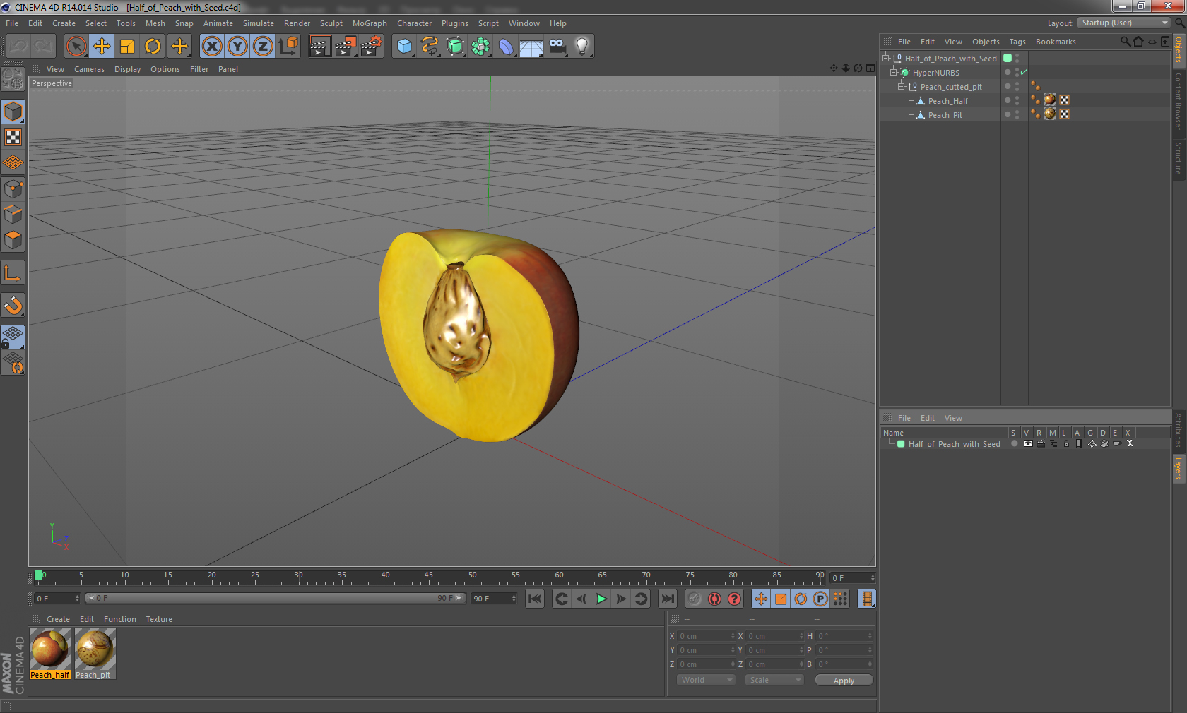 3D Half of Peach with Seed model