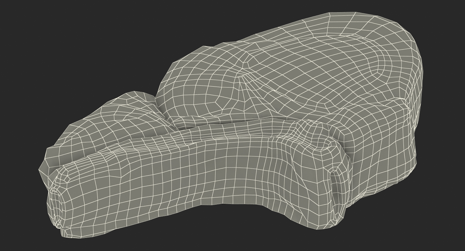 Grilled Flank Steak Bone In 3D
