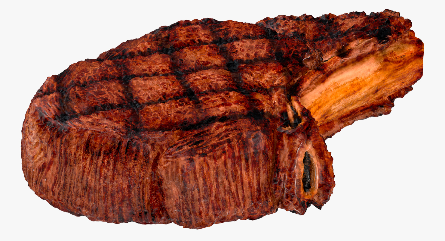 Grilled Flank Steak Bone In 3D