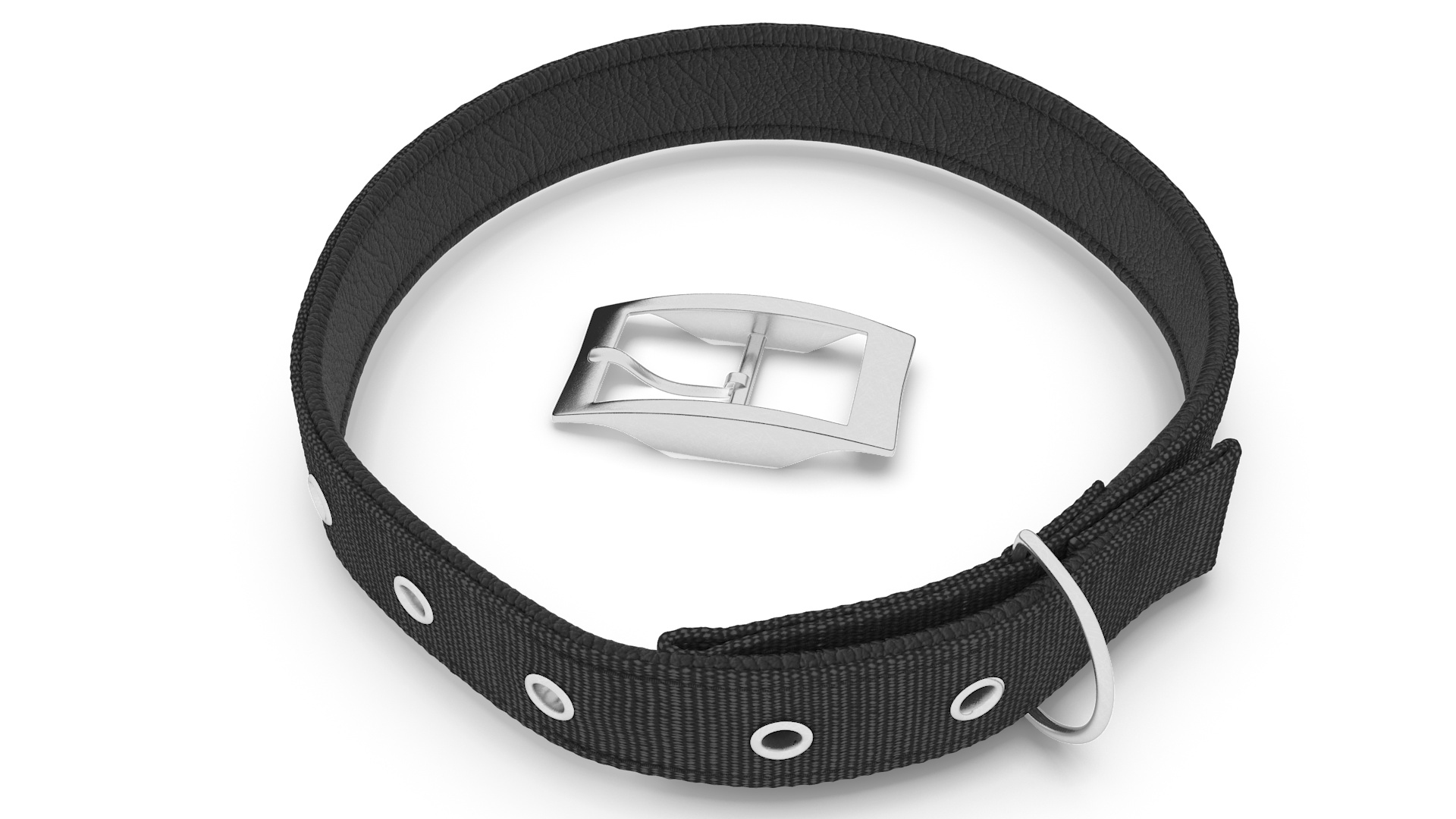Pet Collar with Buckle 3D