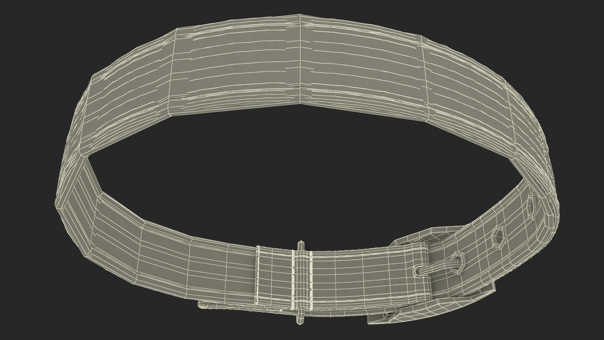 Pet Collar with Buckle 3D
