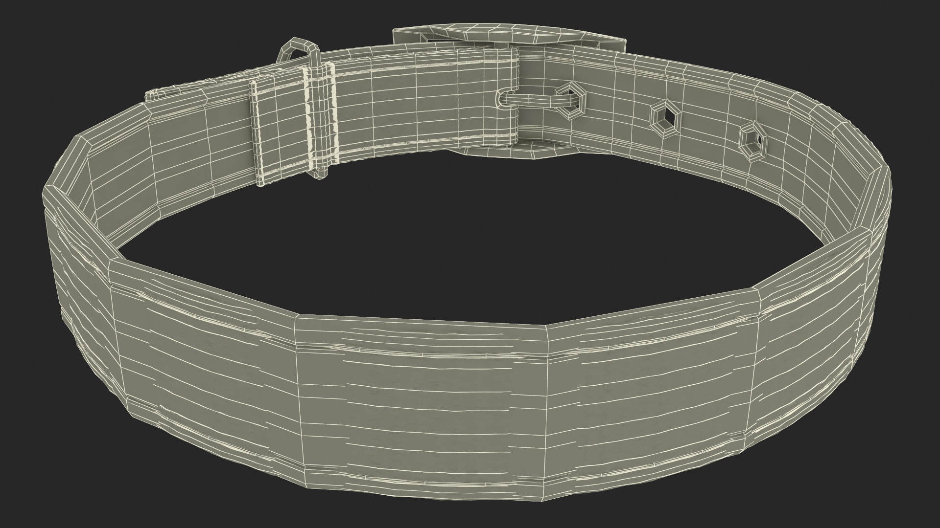 Pet Collar with Buckle 3D