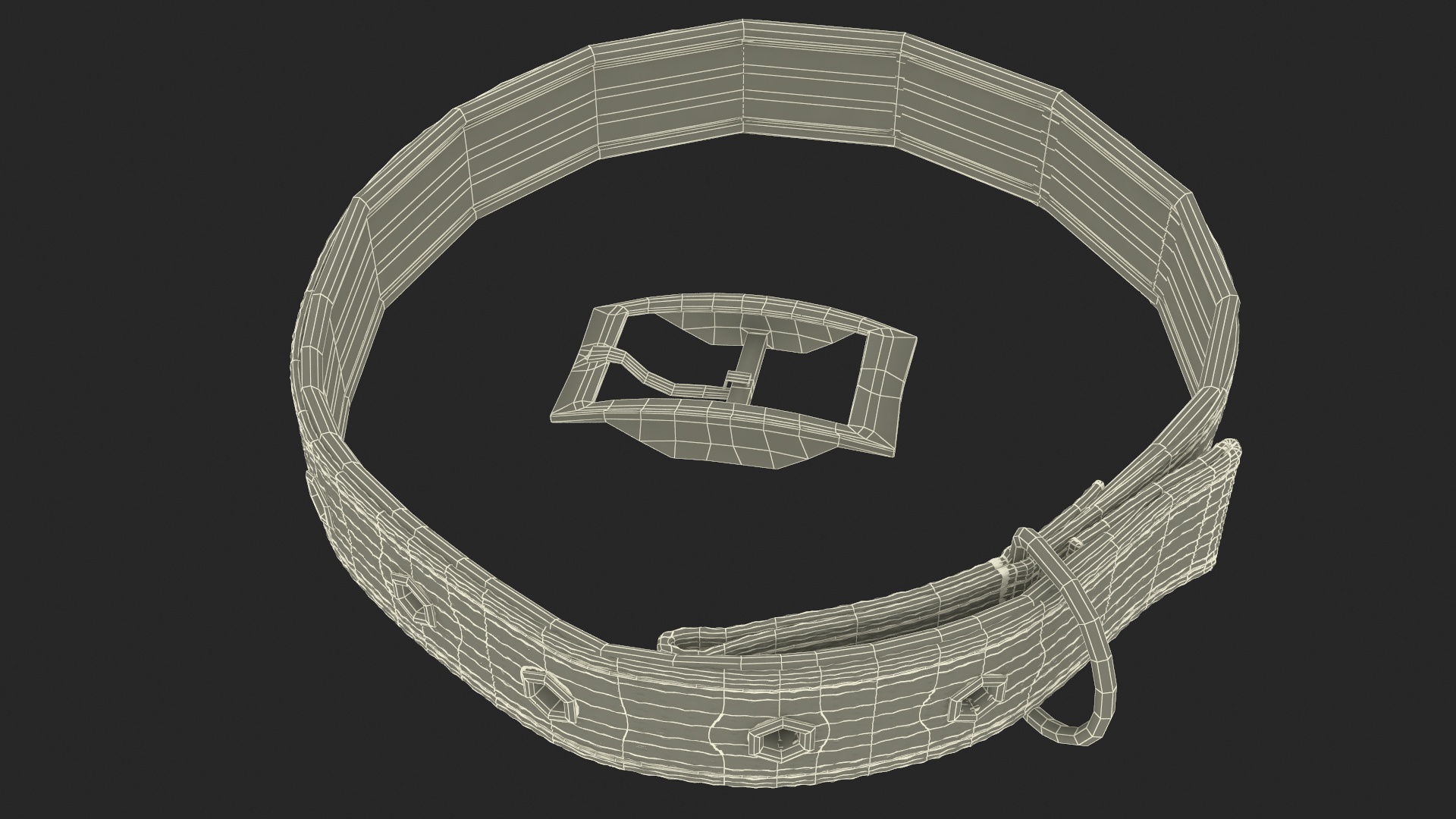 Pet Collar with Buckle 3D