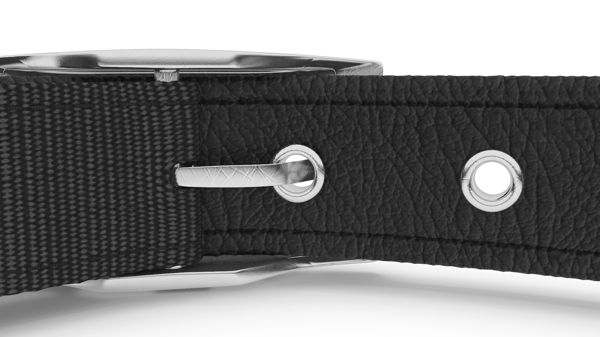 Pet Collar with Buckle 3D