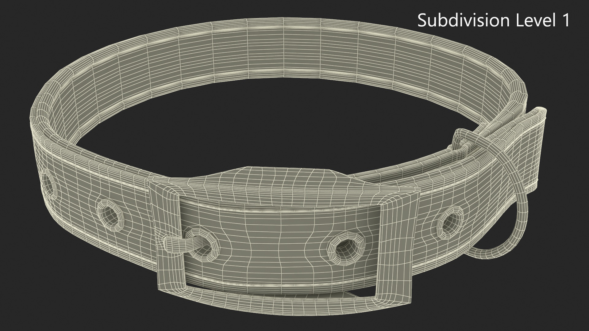 Pet Collar with Buckle 3D