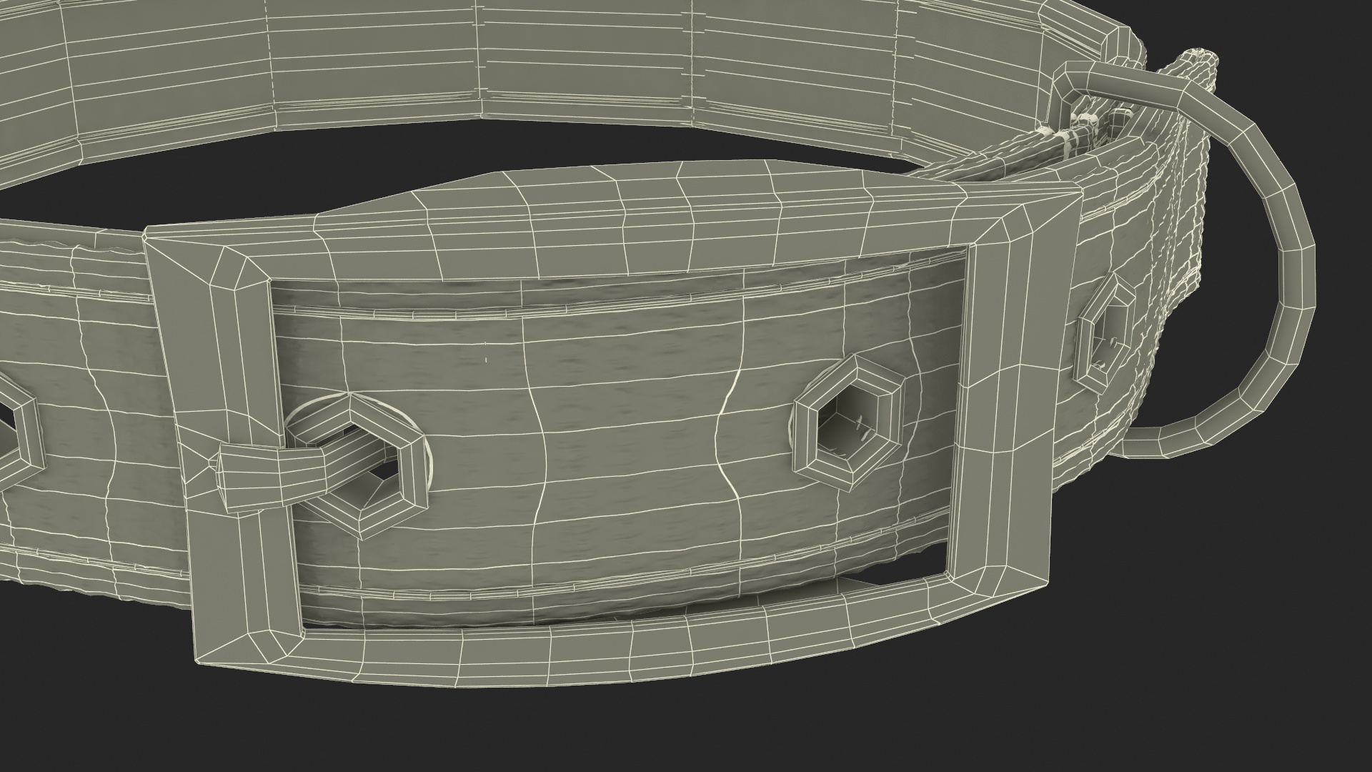 Pet Collar with Buckle 3D