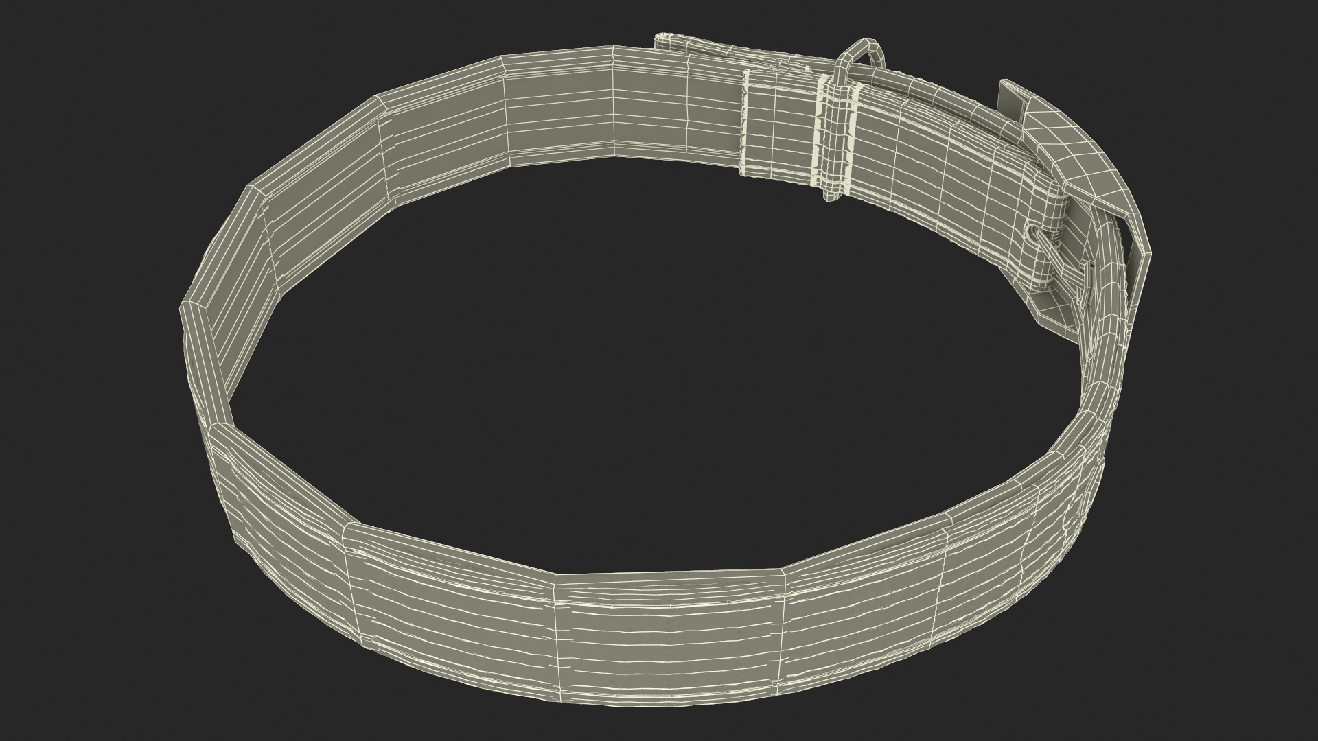 Pet Collar with Buckle 3D