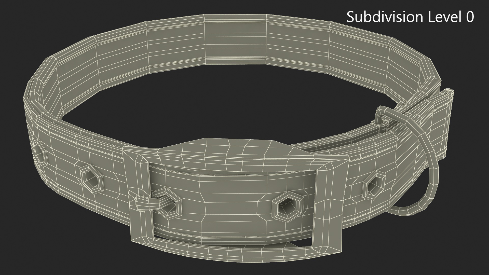 Pet Collar with Buckle 3D