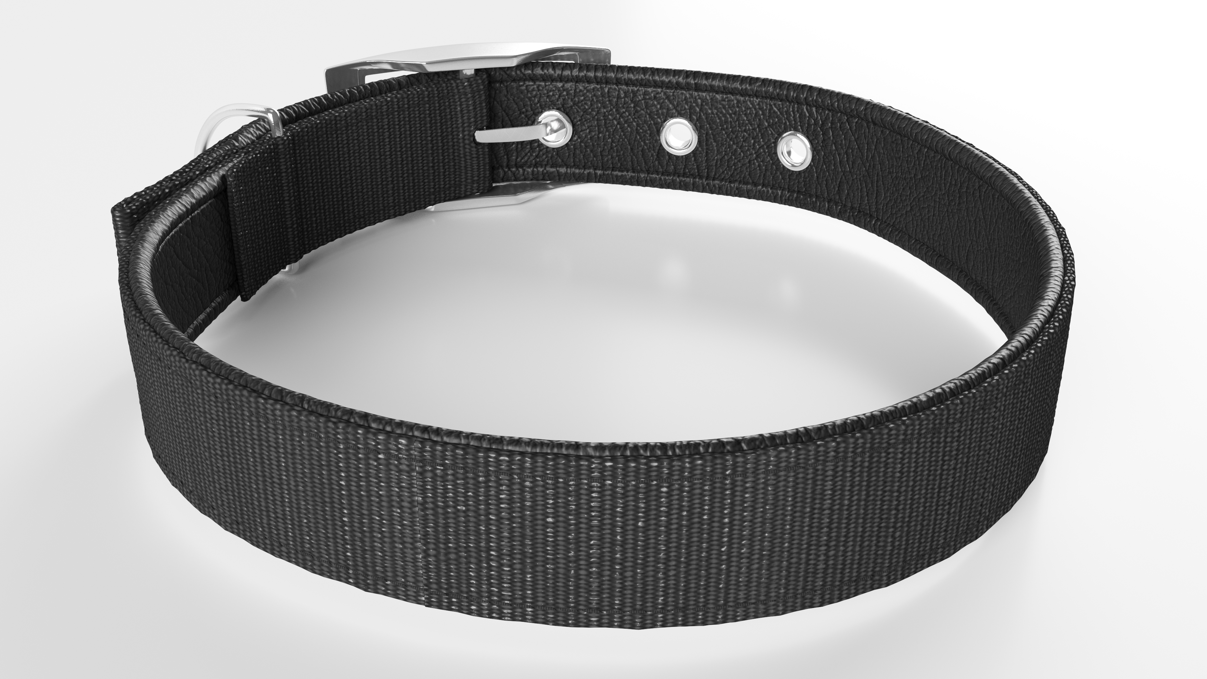 Pet Collar with Buckle 3D