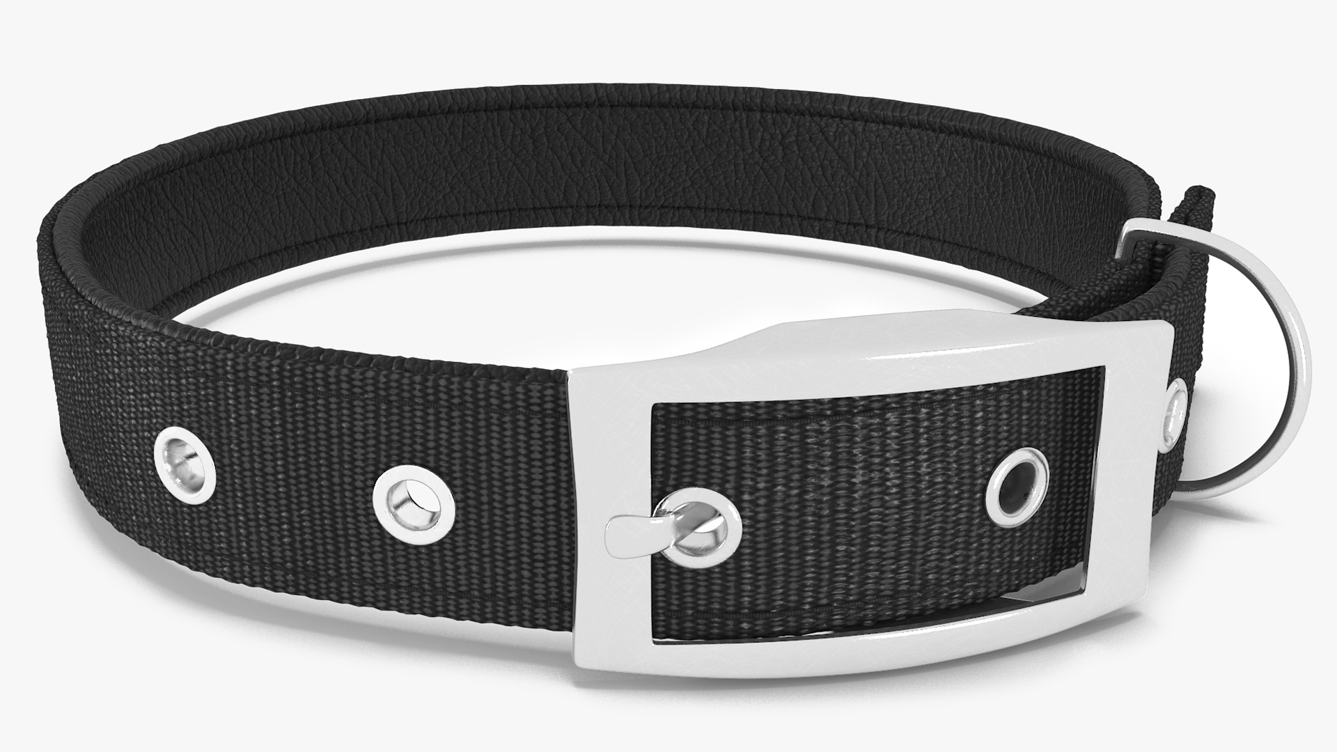 Pet Collar with Buckle 3D