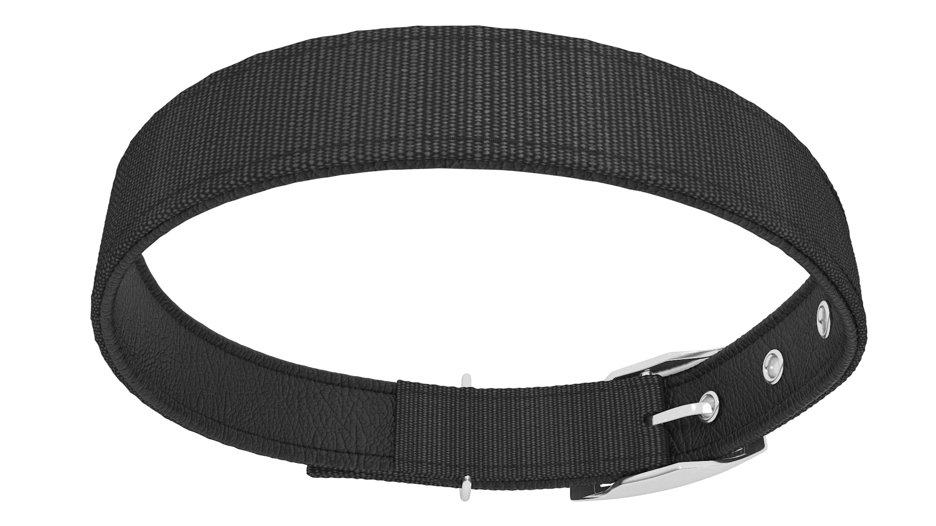 Pet Collar with Buckle 3D