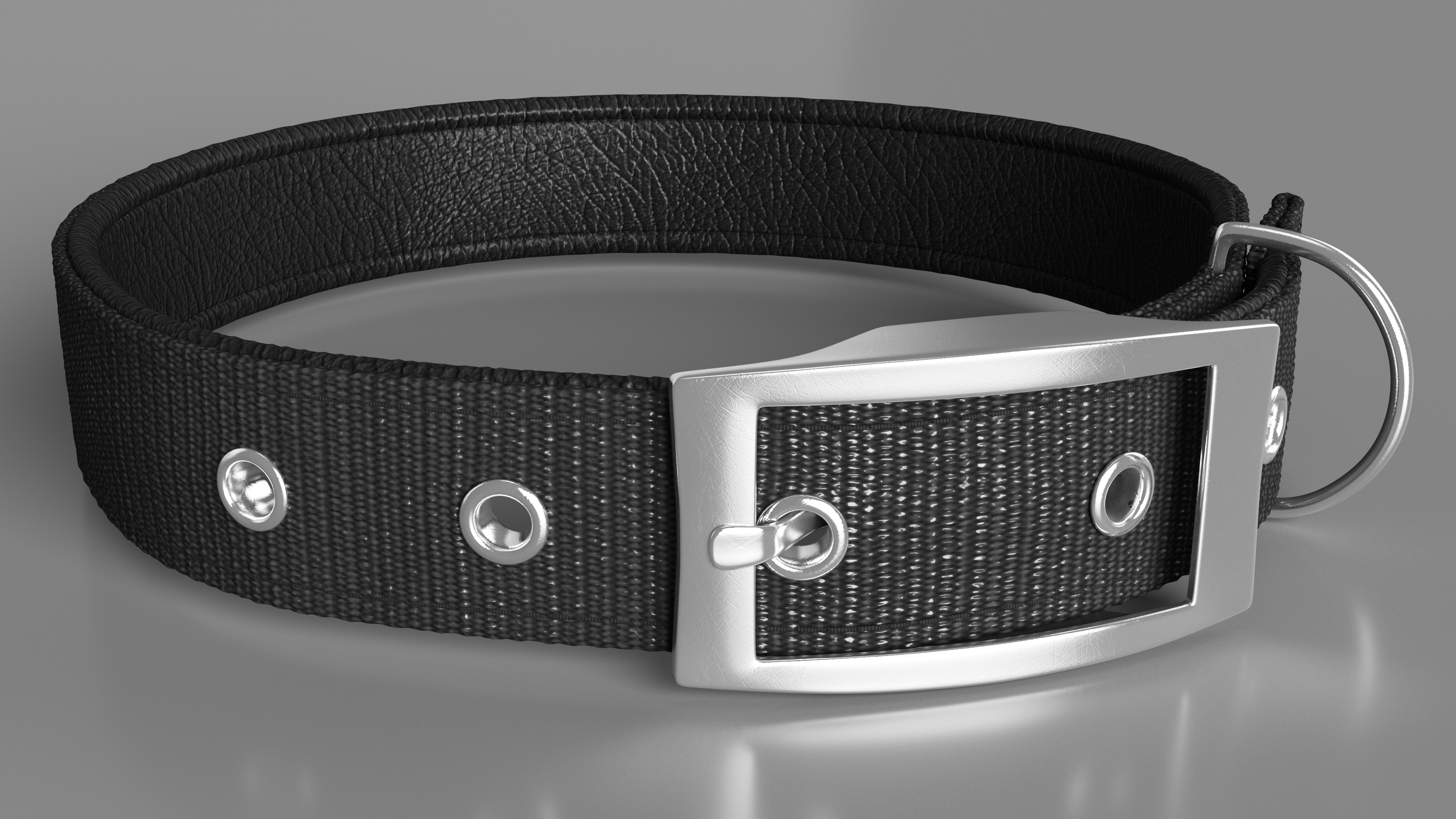 Pet Collar with Buckle 3D