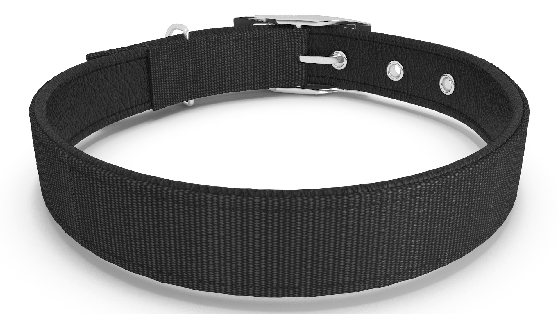 Pet Collar with Buckle 3D