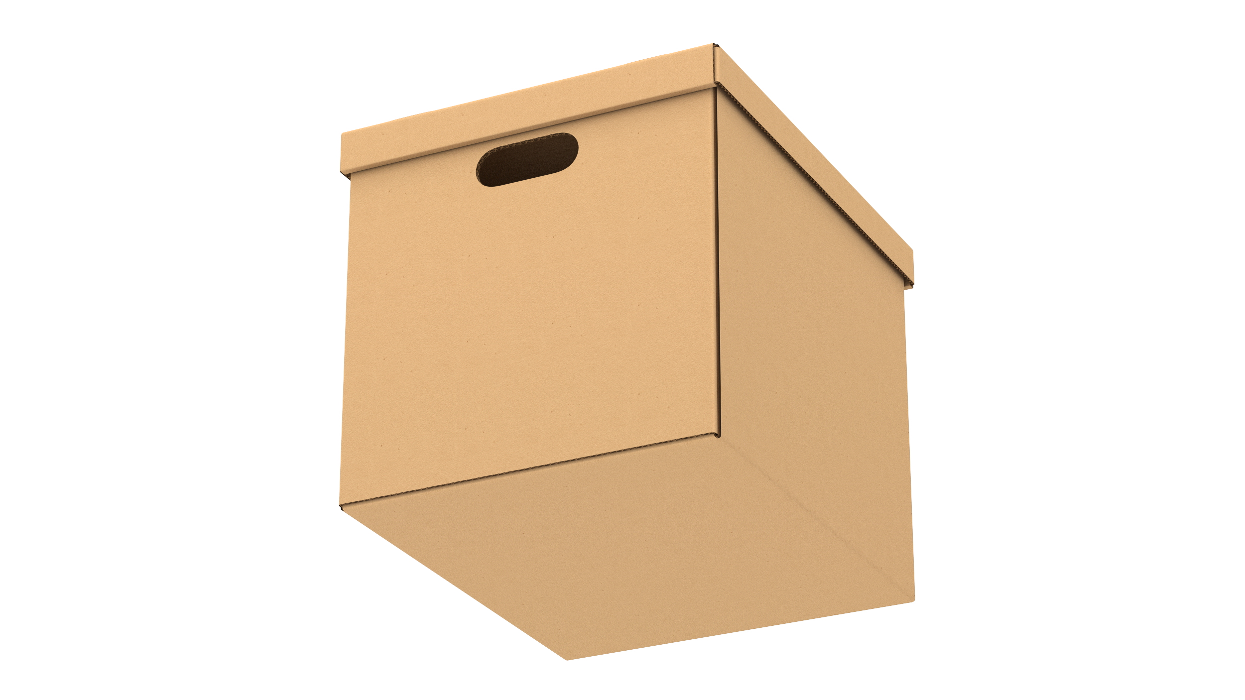 3D Cardboard Box model