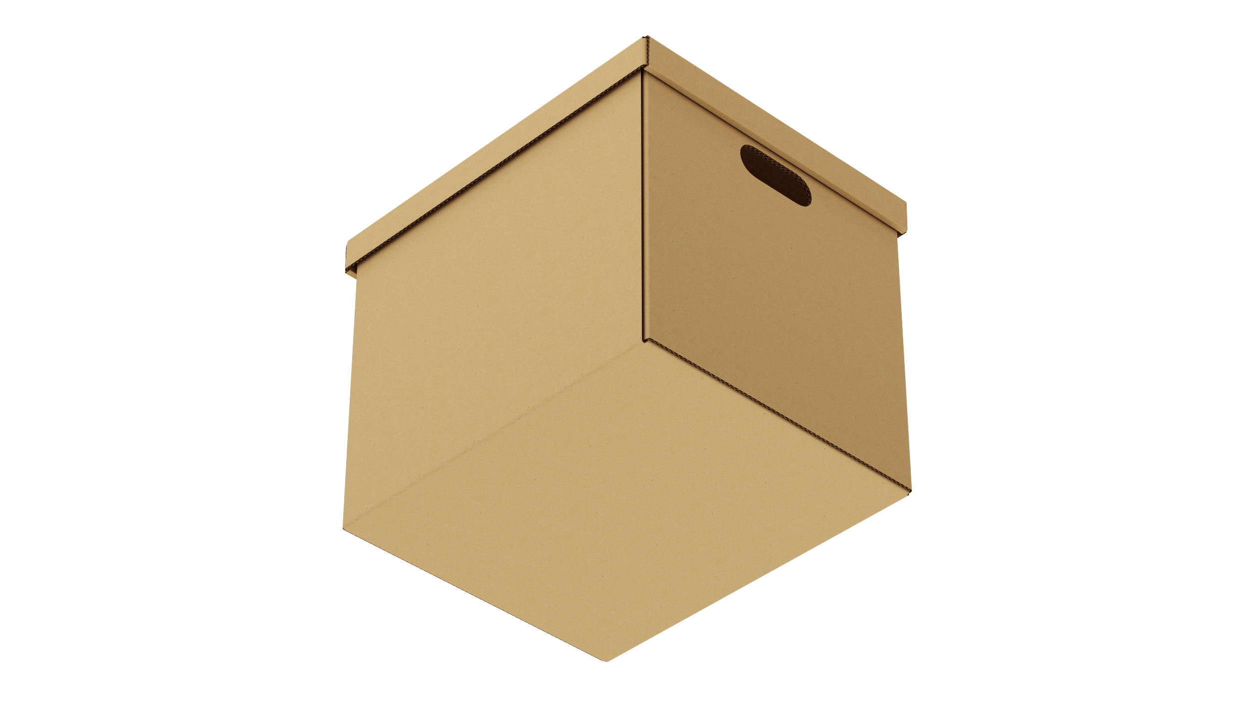 3D Cardboard Box model