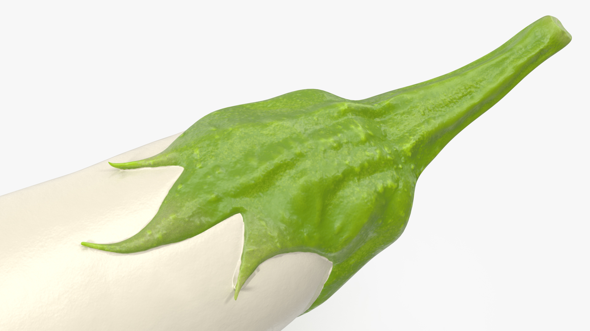 Italian White Eggplant 3D
