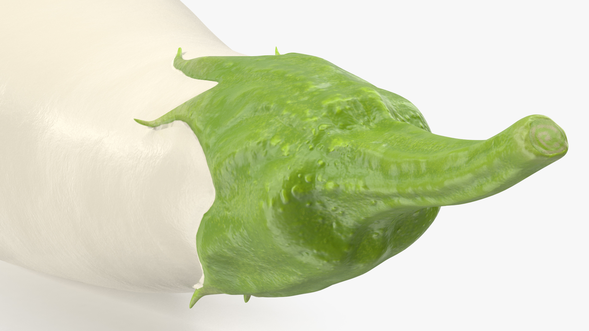 Italian White Eggplant 3D