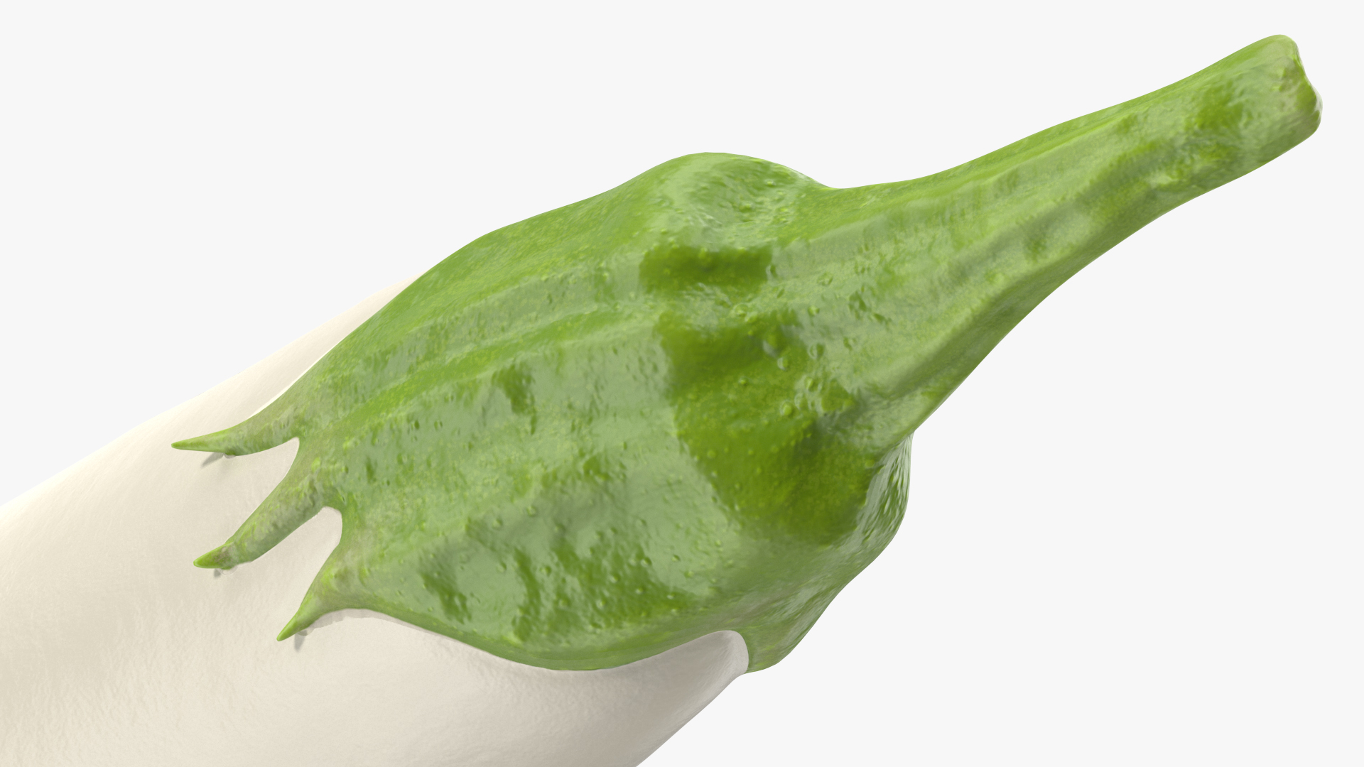 Italian White Eggplant 3D