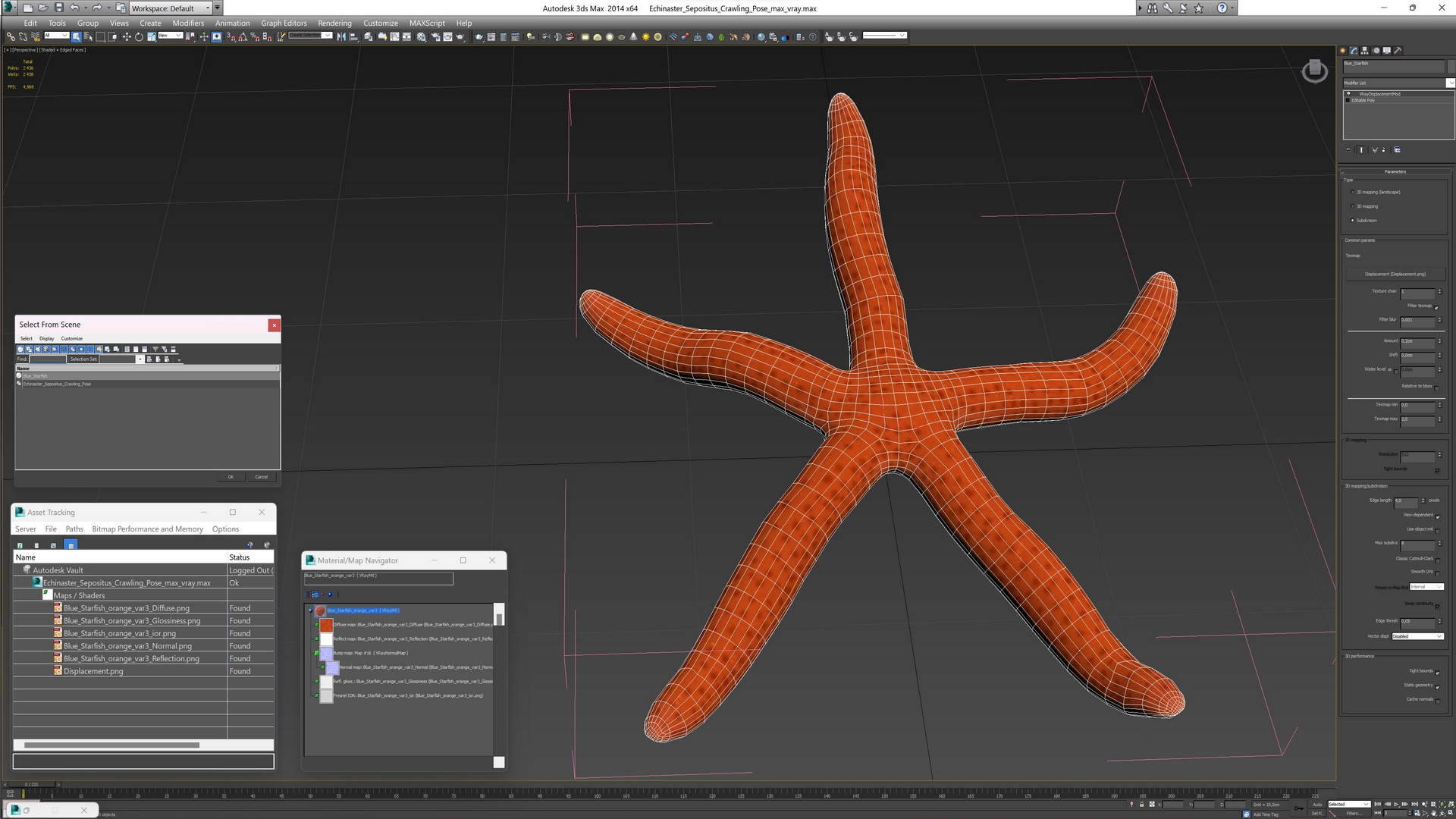 Echinaster Sepositus Crawling Pose 3D model