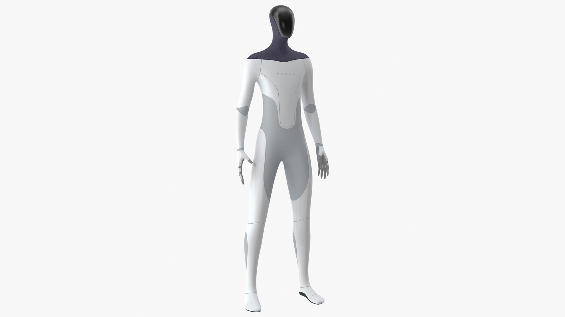 Tesla Bot Neutral Pose 3D