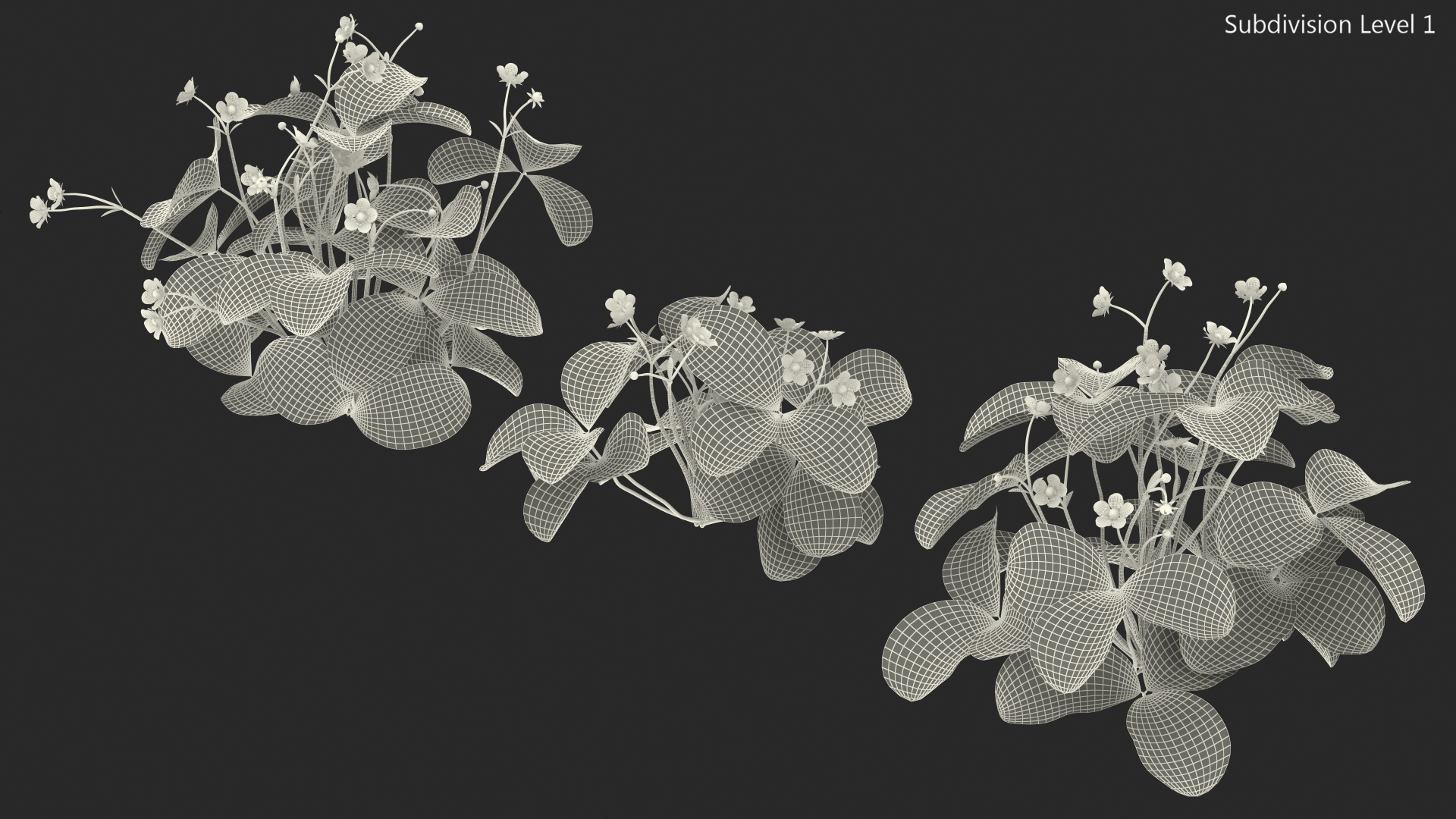 3D model Garden Strawberry Plant with Flowers Set