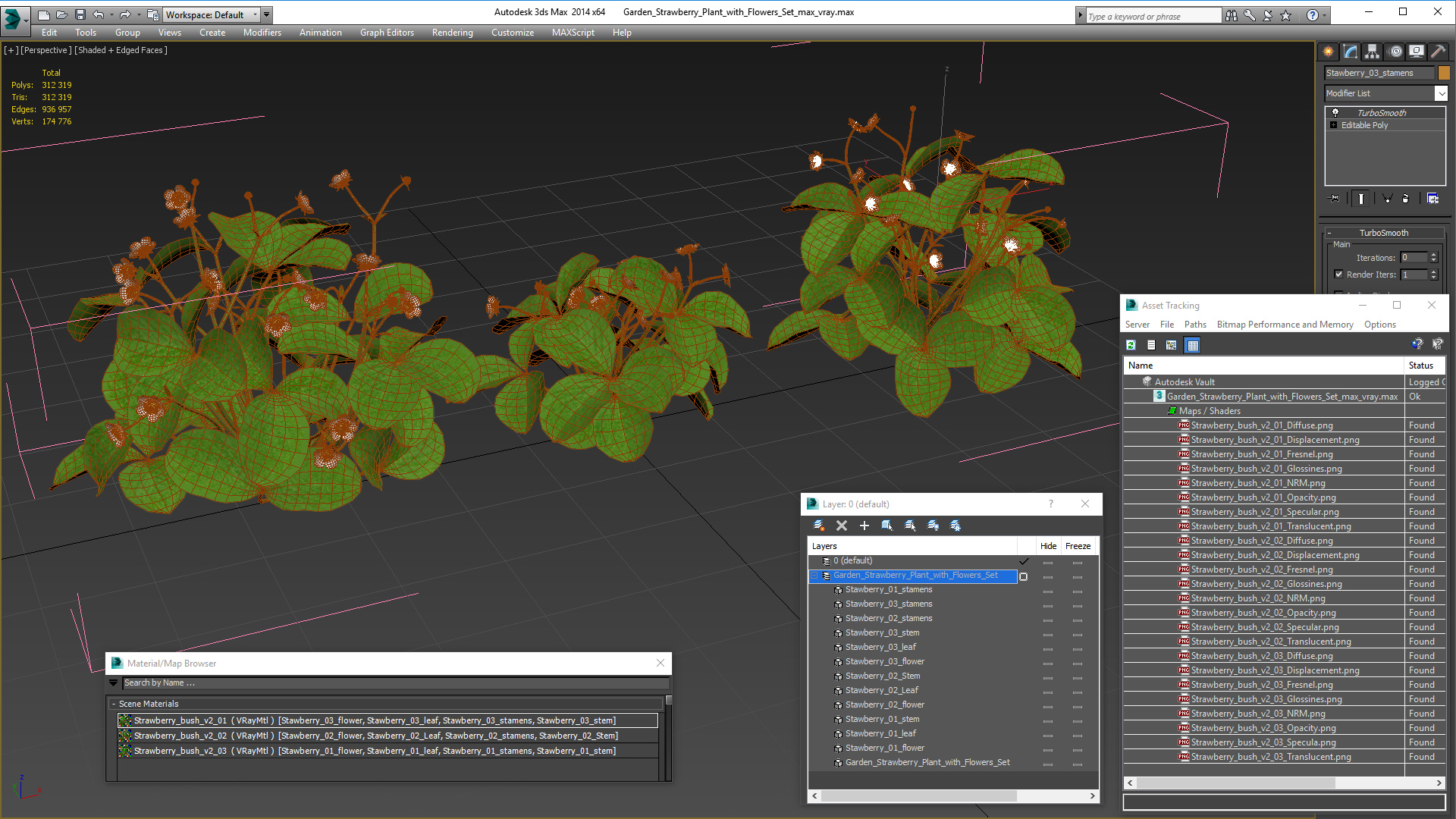 3D model Garden Strawberry Plant with Flowers Set