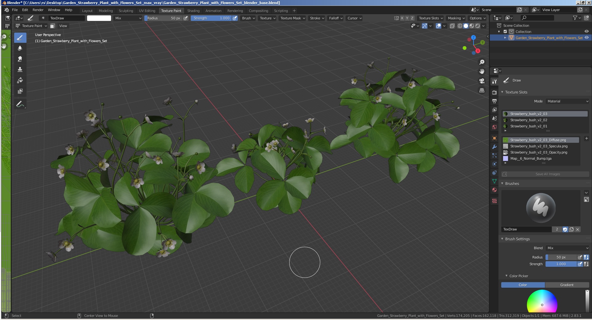 3D model Garden Strawberry Plant with Flowers Set