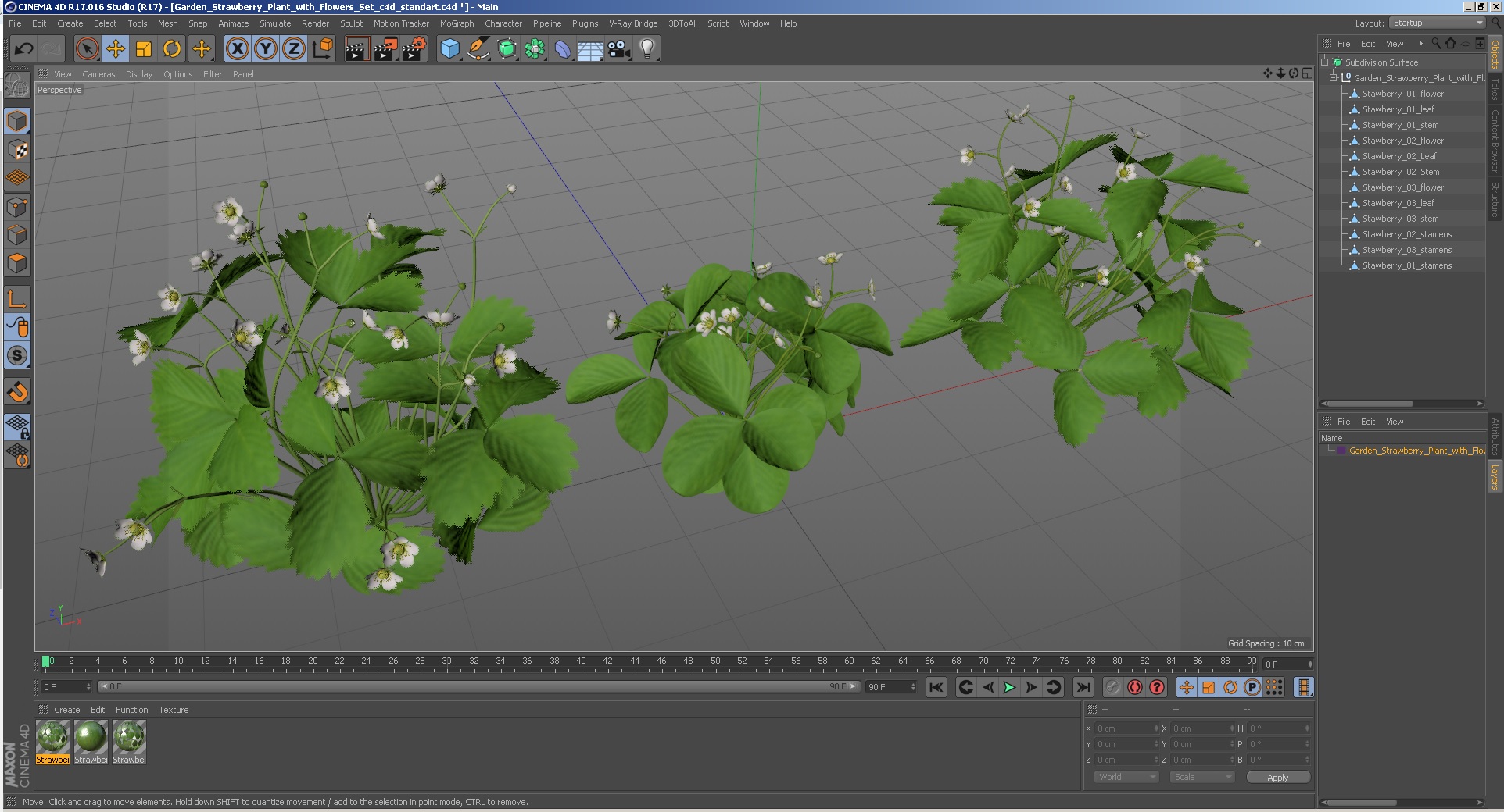 3D model Garden Strawberry Plant with Flowers Set