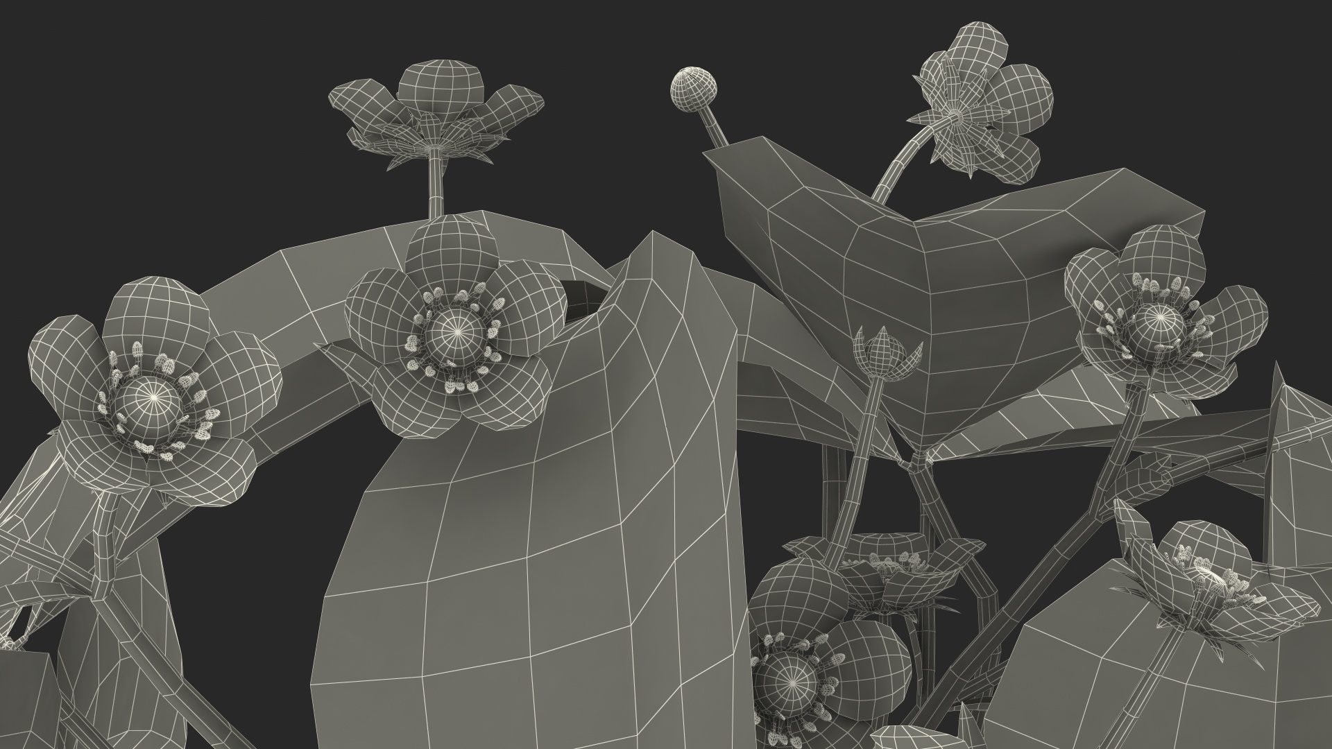 3D model Garden Strawberry Plant with Flowers Set