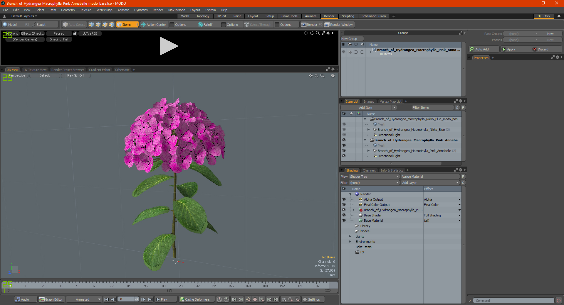 3D Branch of Hydrangea Macrophylla Pink Annabelle