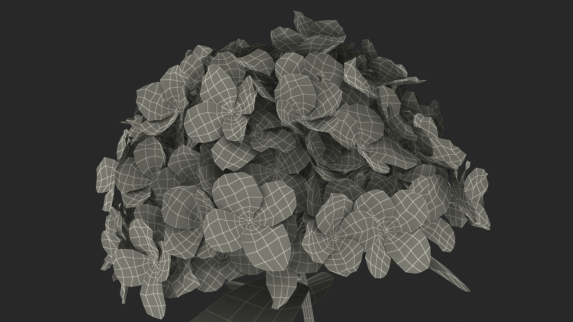 3D Branch of Hydrangea Macrophylla Pink Annabelle