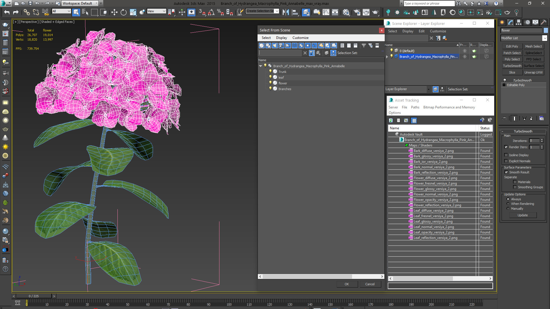 3D Branch of Hydrangea Macrophylla Pink Annabelle