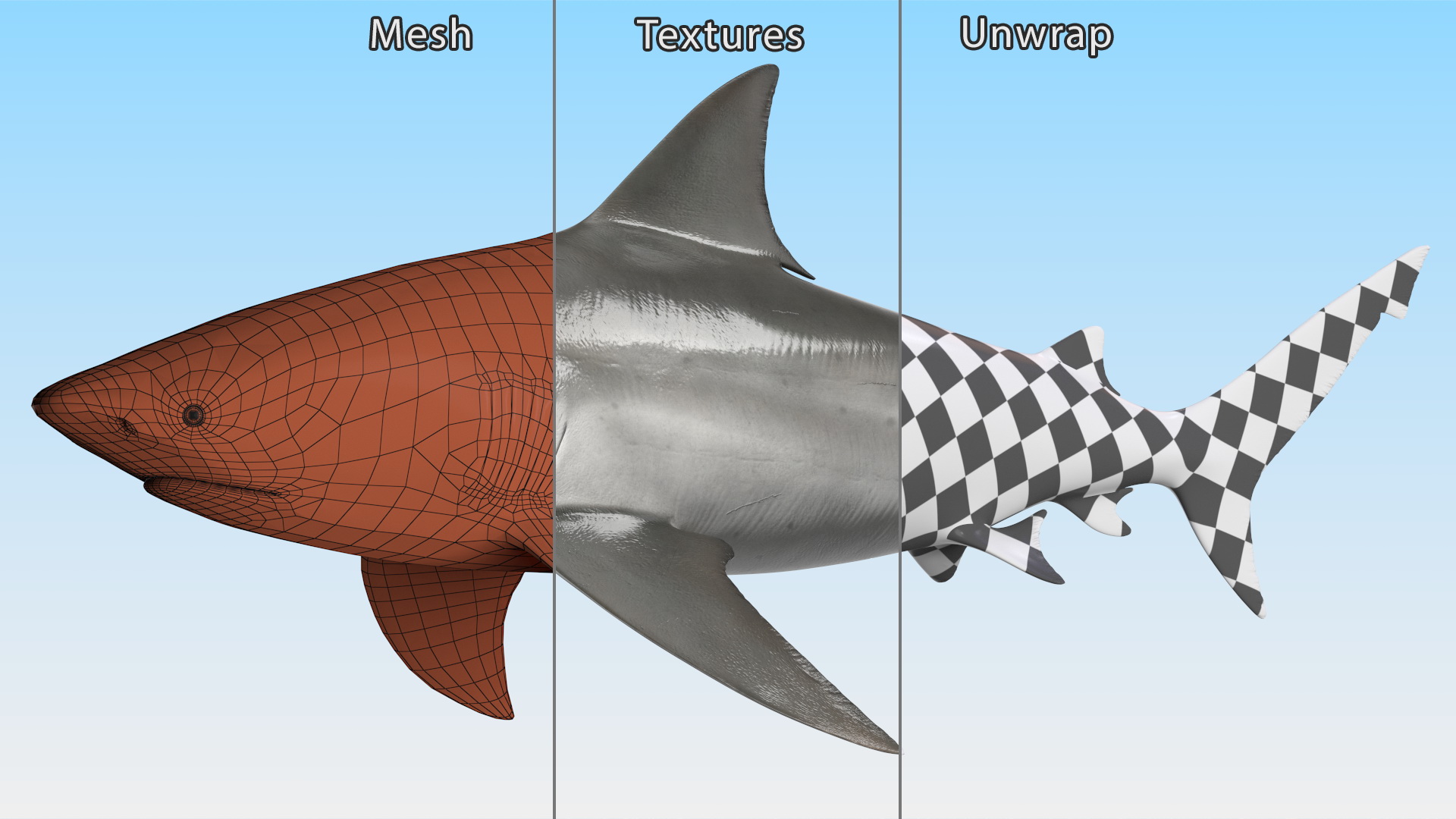 3D Realistic Bull Shark Rigged for Maya